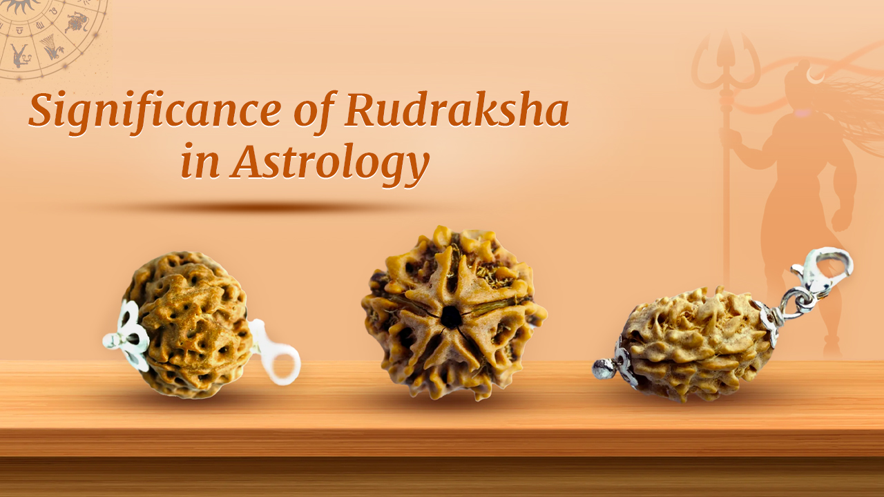 Significance of Rudraksha in Astrology